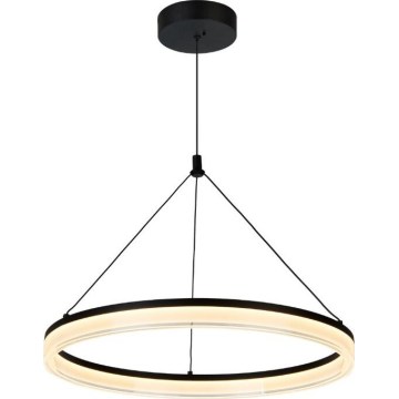 Rabalux - LED reguliuojamas pakabinamas šviestuvas ant laido LED/24W/230V 3000-6500K + su nuotoliniu valdymu