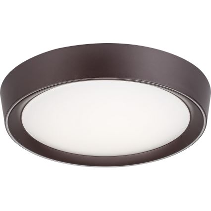 Rabalux - LED RGB reguliuojamas lubų šviestuvas LED/24W/230V 3000-6000K + nuotolinio valdymo pultas