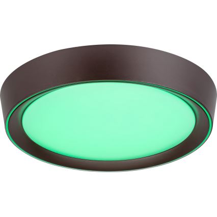 Rabalux - LED RGB reguliuojamas lubų šviestuvas LED/24W/230V 3000-6000K + nuotolinio valdymo pultas