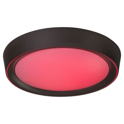 Rabalux - LED RGB reguliuojamas lubų šviestuvas LED/24W/230V 3000-6000K + nuotolinio valdymo pultas