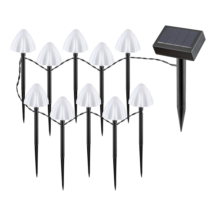 Rabalux - LED Saulės energijos šviestuvas 10xLED/0,2W/1,2V IP44