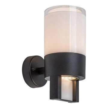 Rabalux - LED sieninis lauko šviestuvas LED/12W/230V IP44