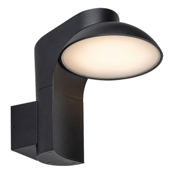 Rabalux - LED sieninis lauko šviestuvas LED/12W/230V IP54