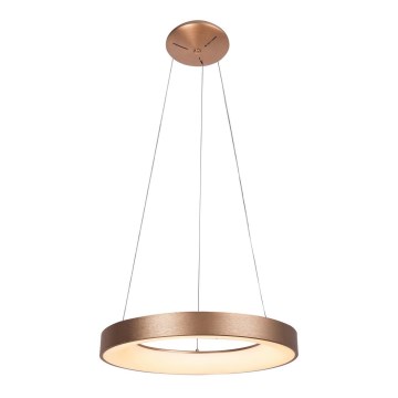 Rabalux - LED sietynas, kabinamas ant virvės CARMELLA LED/80W/230V