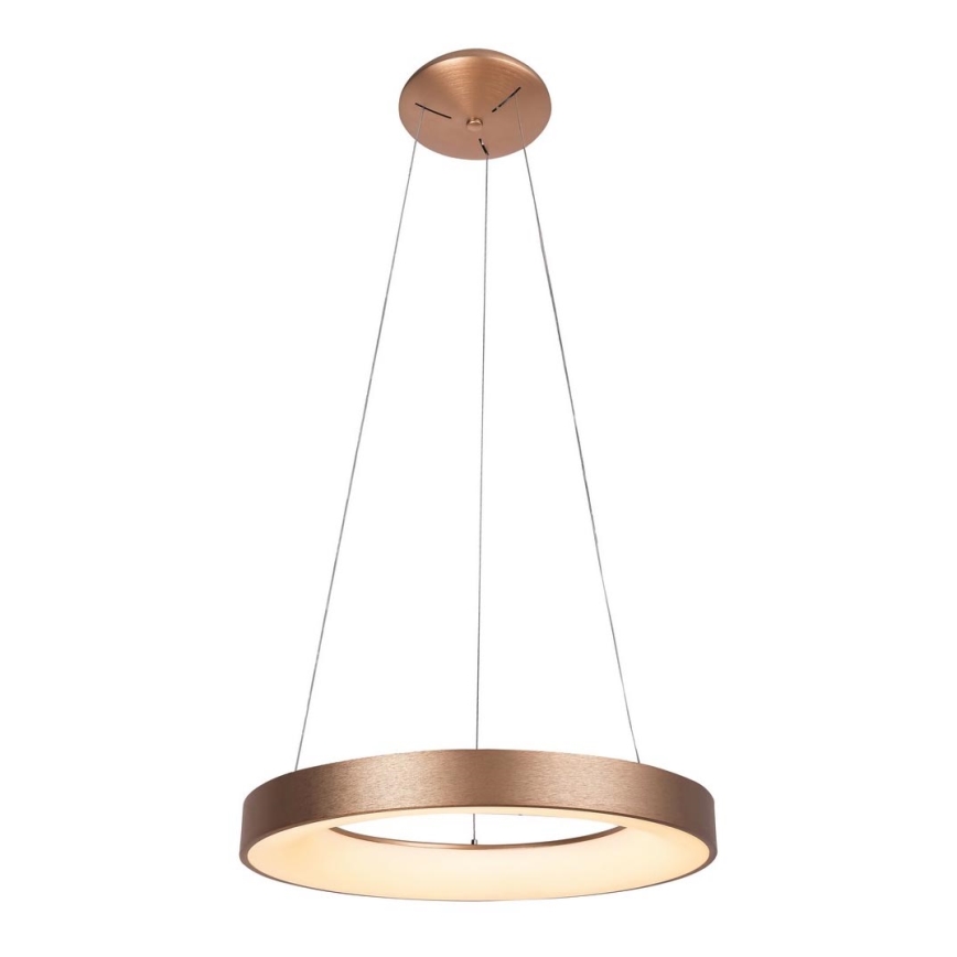 Rabalux - LED sietynas, kabinamas ant virvės CARMELLA LED/80W/230V