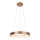 Rabalux - LED sietynas, kabinamas ant virvės CARMELLA LED/80W/230V