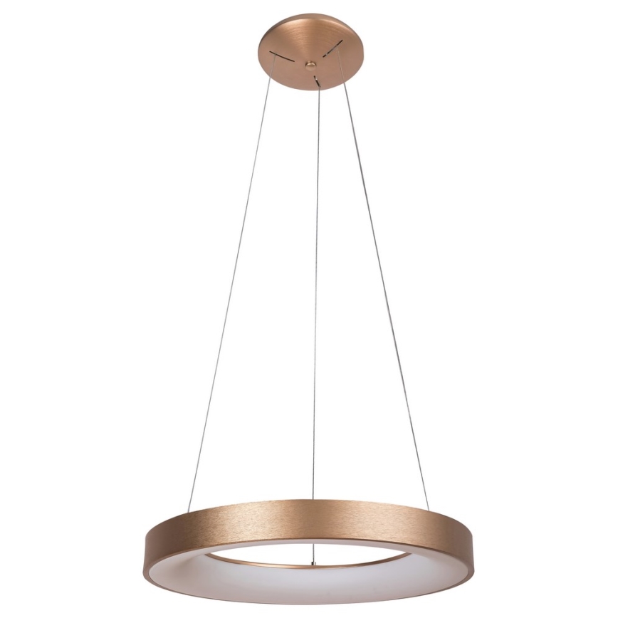 Rabalux - LED sietynas, kabinamas ant virvės CARMELLA LED/80W/230V