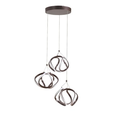 Rabalux - LED sietynas, kabinamas ant virvės LED/50W/230V