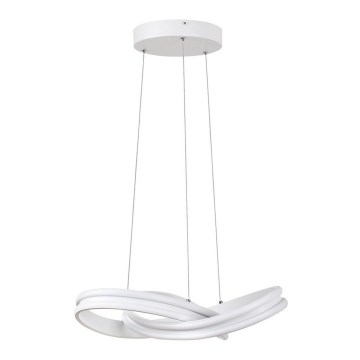 Rabalux - LED sietynas, kabinamas ant virvės LED/60W/230V