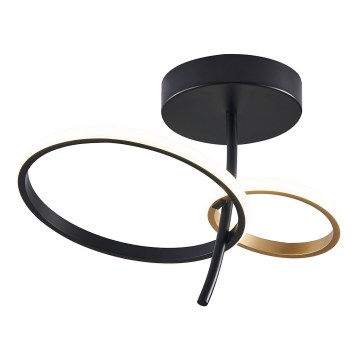 Rabalux - LED sietynas LED/24W/230V