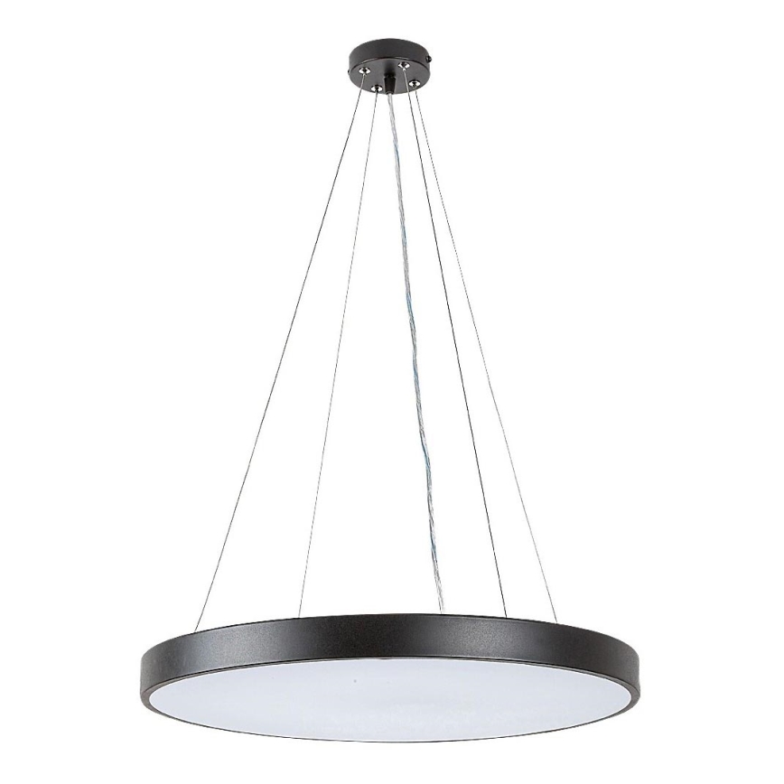 Rabalux - LED šviestuvas ant laido LED/36W/230V 3000K juoda