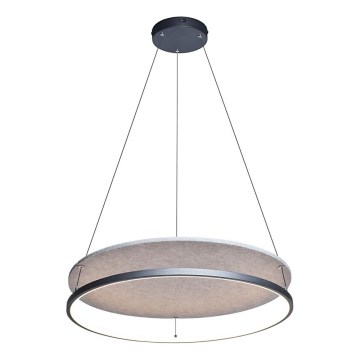 Rabalux - LED šviestuvas ant laido LED/40W/230V 3000/4000K