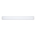 Rabalux - LED virtuvės šviestuvas, kabinamas po spintele LED/14,5W/230V