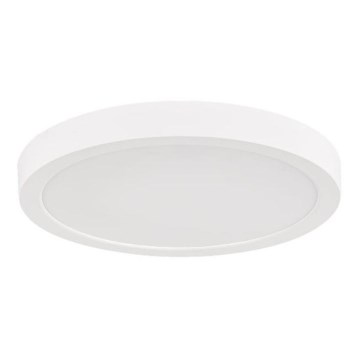 Rabalux - LED vonios kambario lubinis šviestuvas, 30 W, 230 V, skersmuo 30 cm, IP44, baltas