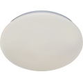 Rabalux - LED vonios kambario lubinis šviestuvas LED/12W/230V IP44 4000K skersm. 25,5 cm