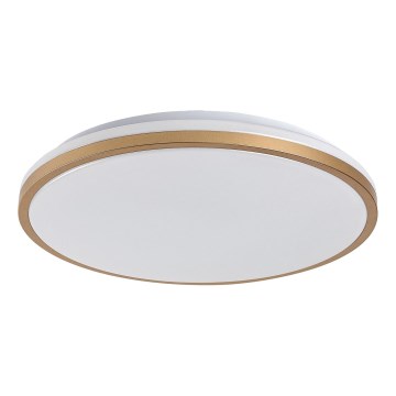 Rabalux - LED vonios kambario lubinis šviestuvas LED/18W/230V IP44, skersmuo 34 cm