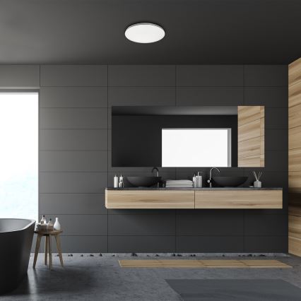 Rabalux - LED vonios kambario lubinis šviestuvas LED/20W/230V IP44 skersmuo 29 cm