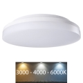 Rabalux - LED Vonios lubinis šviestuvas LED/24W/230V IP54 3000K/4000K/6000K