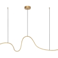 Rabalux - pakabinamas LED šviestuvas ant troso LED/20W/230V 3000K