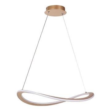 Rabalux - pakabinamas LED šviestuvas su laidu LED/40W/230V 3000K