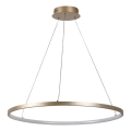 Rabalux - Pakabinamas LED šviestuvas su laidu LED/55W/230V 3000K