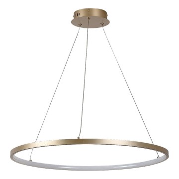 Rabalux - Pakabinamas LED šviestuvas su laidu LED/55W/230V 3000K