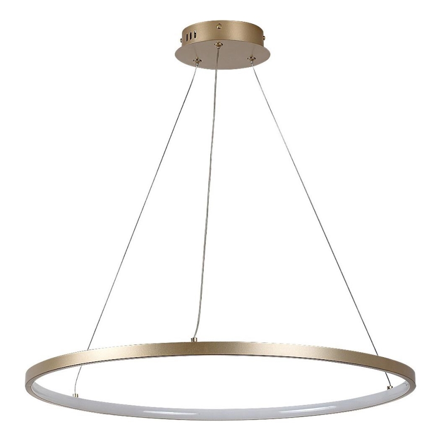 Rabalux - Pakabinamas LED šviestuvas su laidu LED/55W/230V 3000K