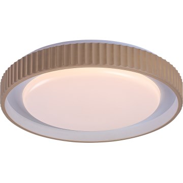 Rabalux - reguliuojamas LED lubinis šviestuvas LED/48W/230V 3000-6500K skersmuo 49,5 cm + nuotolinis valdymas