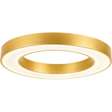 Rabalux – reguliuojamas LED lubų šviestuvas, 45 W, 230 V, 3000–6500 K, Ø 60 cm, auksinis, su nuotolinio valdymo pultu