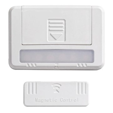 Rabalux - RINKINYS 2x LED spintos apšvietimui LED/0,5W/3V 2xAAA