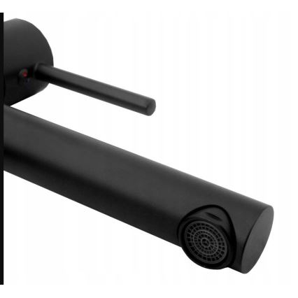 REA-B0229 - Praustuvo maišytuvas TESS 31,5 cm juodas