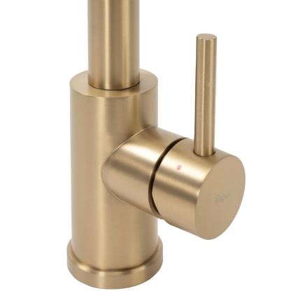 REA-B4821 - Kriauklės maišytuvas su ištraukiamu purkštuku COLIN 42,5 cm šlifuoto aukso apdaila