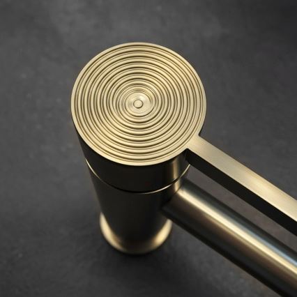 REA-B6444 - Praustuvo maišytuvas FOSTER 18,2 cm, auksinis