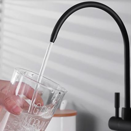 REA-B7564 - Plautuvės maišytuvas su ištraukiamu purškimo antgaliu ir vandens filtru ECO FRESH, 37,5 cm, matinė juoda