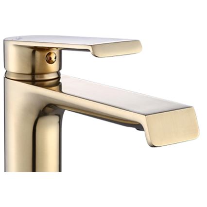 REA-B9969 - Praustuvo maišytuvas HASS 15 cm šlifuoto aukso spalvos
