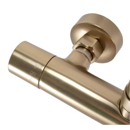 REA-P2323 - Dušo rinkinys su PAROT termostatiniu maišytuvu, šlifuoto aukso