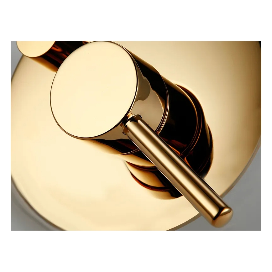 REA-P4110 - Auksinis dušo komplektas LUNGO su įleidžiamu maišytuvu