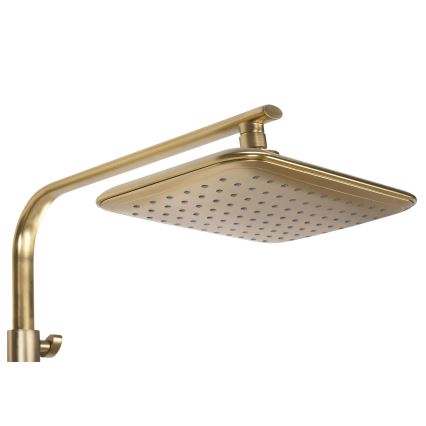 REA-P5004 - Dušo komplektas su termostatiniu maišytuvu TOM, šlifuoto aukso apdaila