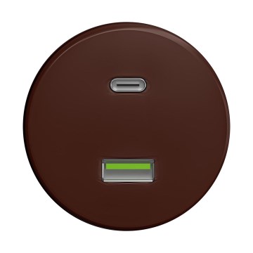 Reblig - Retro USB lizdas A+C be rėmo, rudos spalvos
