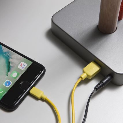 Redo 01-1119 - LED pritemdomas, liečiamas stalinis šviestuvas LED/5W/230V USB