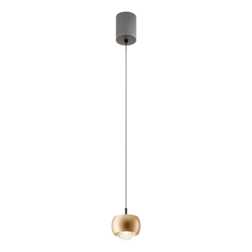 Redo 01-3547 - LED Pakabinamas sietynas AVES LED/12W/230V diametras 9,6 cm CRI 90 auksas