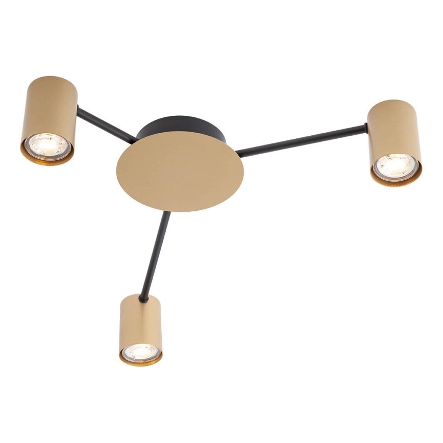 Redo 01-4049 - Akcentinis apšvietimas NOA 3xGU10/10W/230V auksas