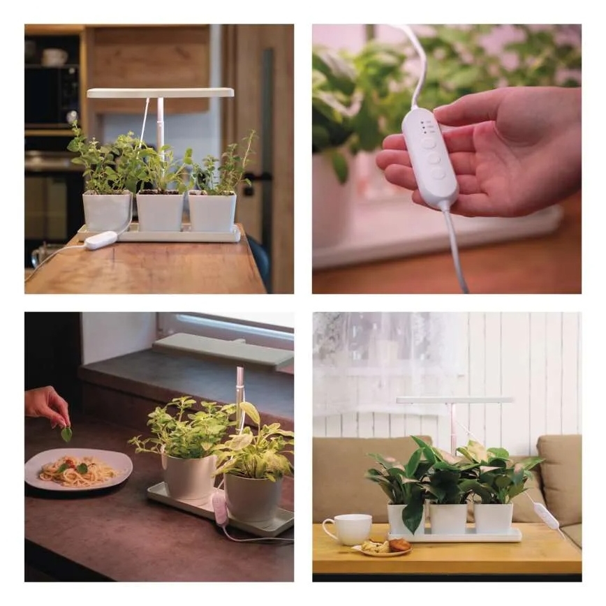 Reguliuojama LED lempa vidaus augalų auginimui GROW LED/7W/5V