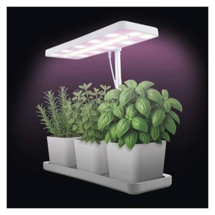 Reguliuojama LED lempa vidaus augalų auginimui GROW LED/7W/5V