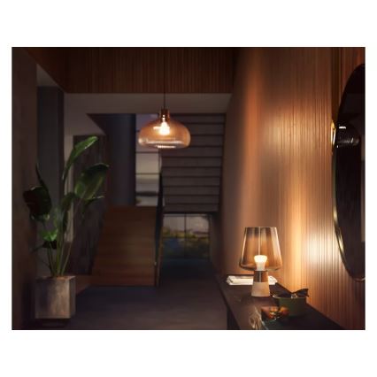 Reguliuojama LED lemputė Philips Hue WHITE E27/13,5W/230V 2700K