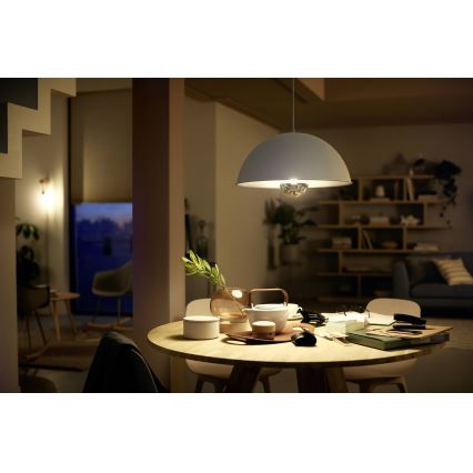 Reguliuojama LED lemputė su veidrodiniu sferiniu dangteliu Philips G125 E27/7,2W/230V 2700K