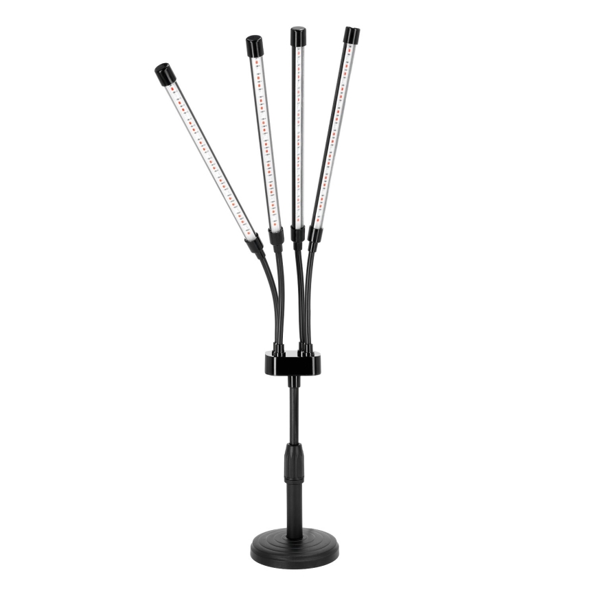 LED reguliuojama lanksti stalinė lempa augalų auginimui VITARO 4xLED/10W/230V juoda