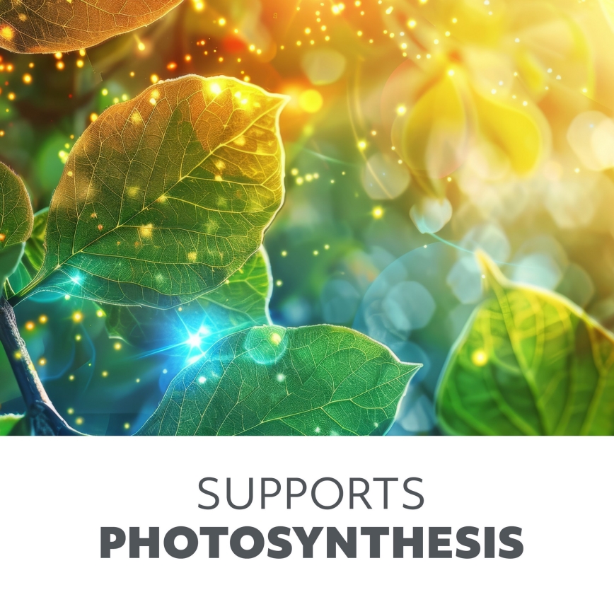 LED reguliuojama lanksti stalinė lempa augalų auginimui VITARO 4xLED/10W/230V juoda