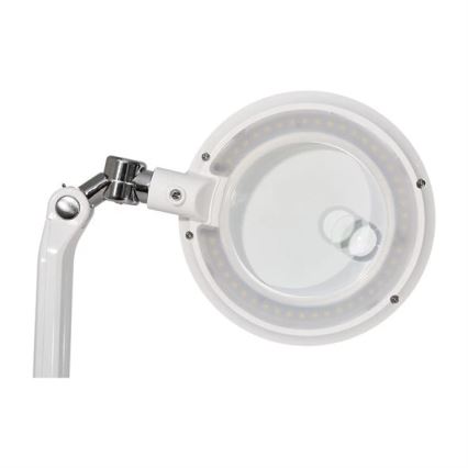 Reguliuojama LED stalinė lempa su didinamuoju stiklu LED/7W/230V 6500K balta