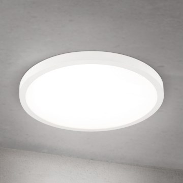 Reguliuojamas LED lubinis šviestuvas DISC, 30 W, 230 V, 2700/3000/4000 K, Ø 40 cm, baltas
